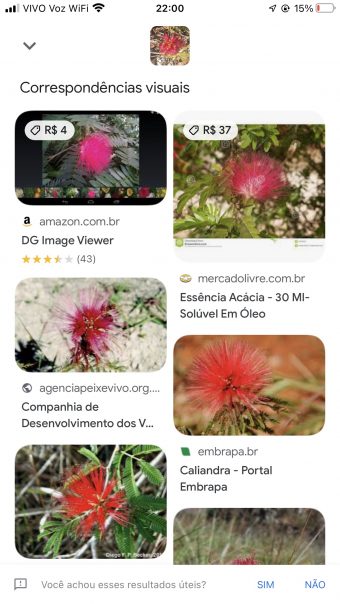 Correspondências visuais do Google Lens